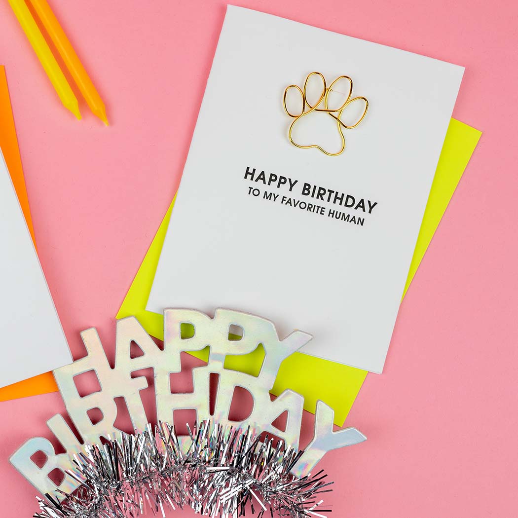 Happy Birthday To My Favorite Human - Paper Clip Letterpress Card