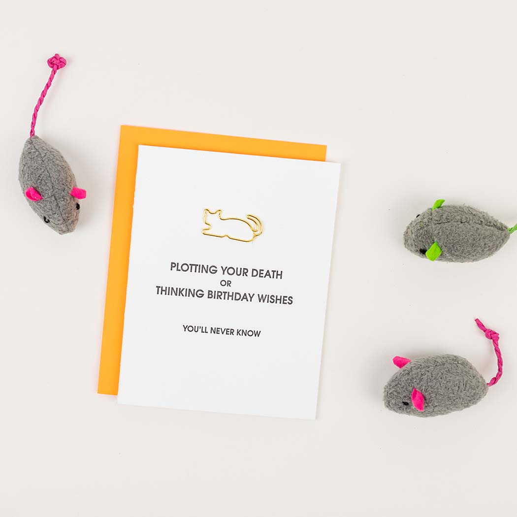 Plotting Your Death or Thinking Birthday Wishes. You'll Never Know - Cat Paper Clip Letterpress Card