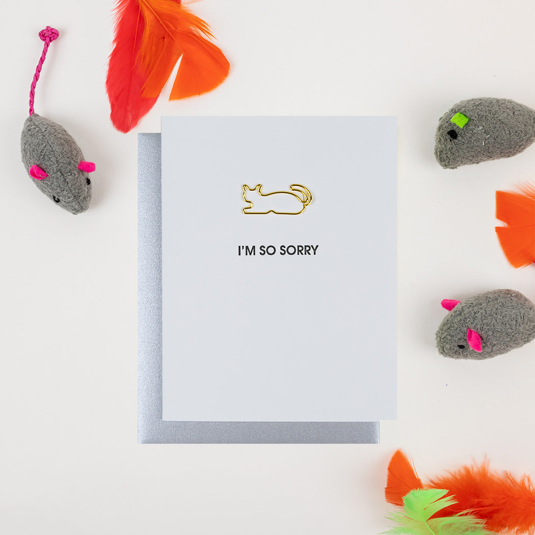 I'm So Sorry Cat - Paper Clip Letterpress Card