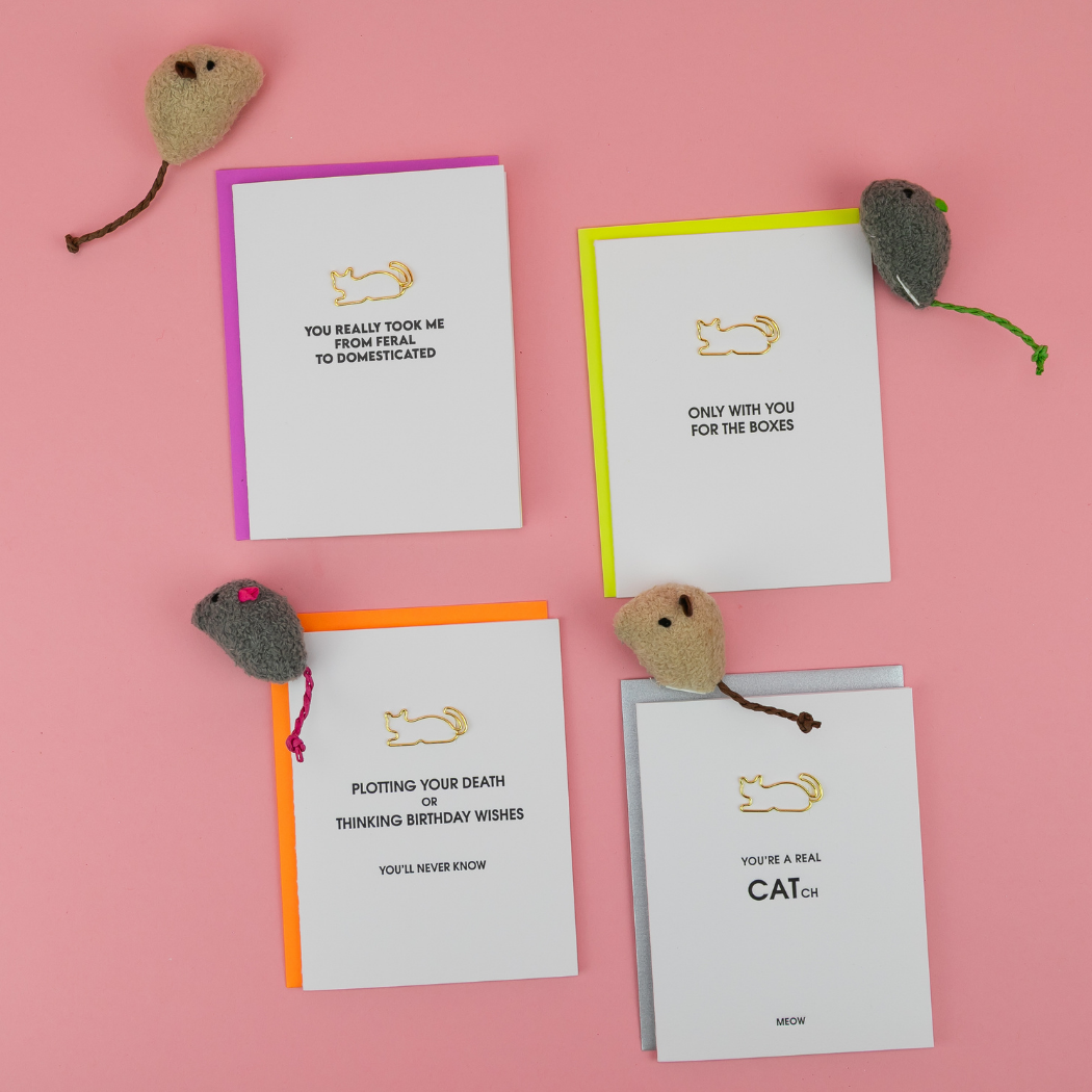 You Took Me From Feral To Domesticated - Cat Paperclip Card