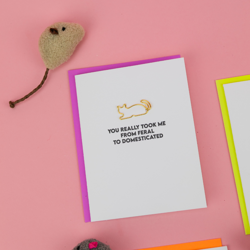 You Took Me From Feral To Domesticated - Cat Paperclip Card