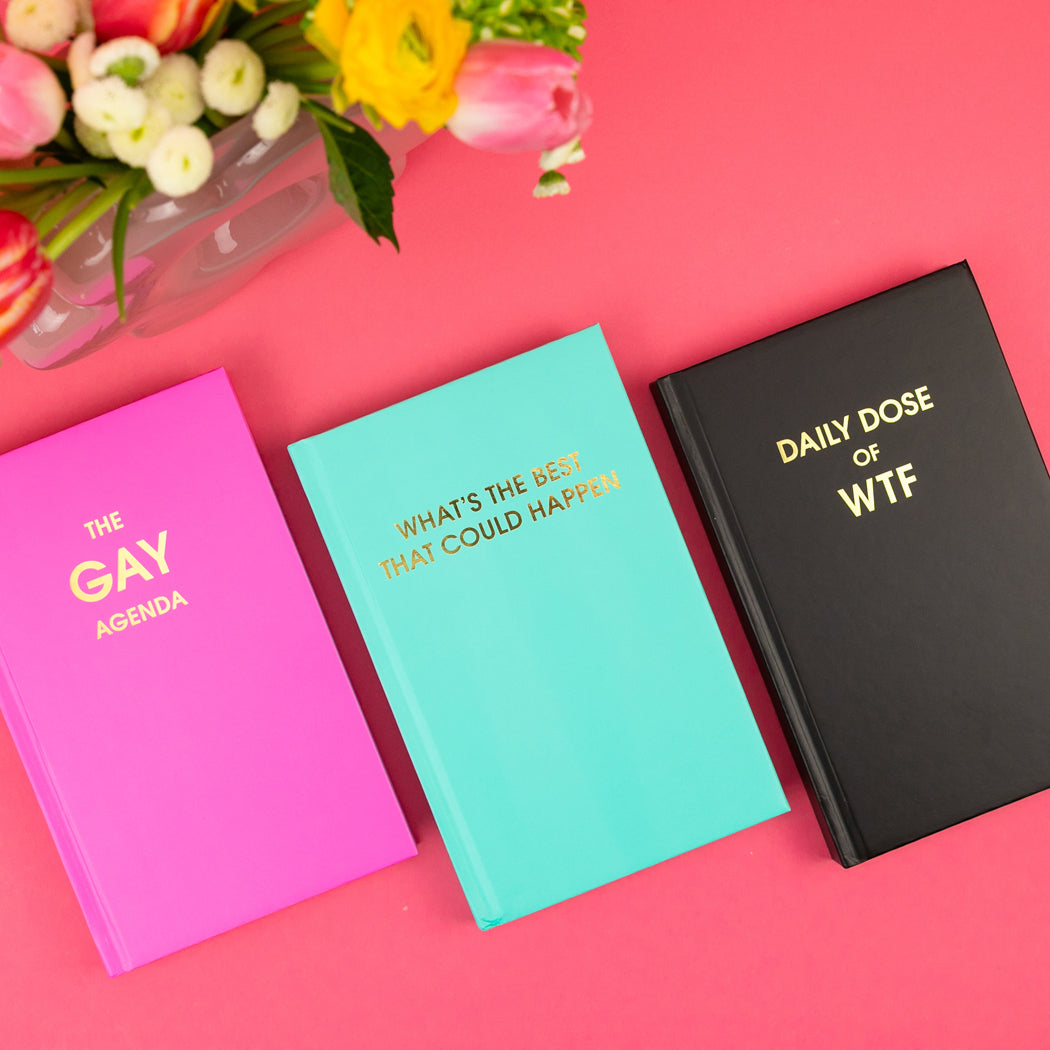 The Gay Agenda - Neon Rose Hardcover Journal
