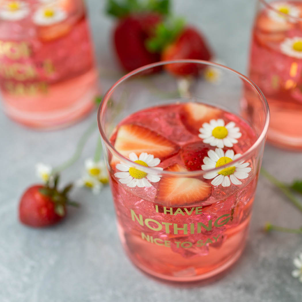 I Have Nothing Nice to Say - Rocks Glass