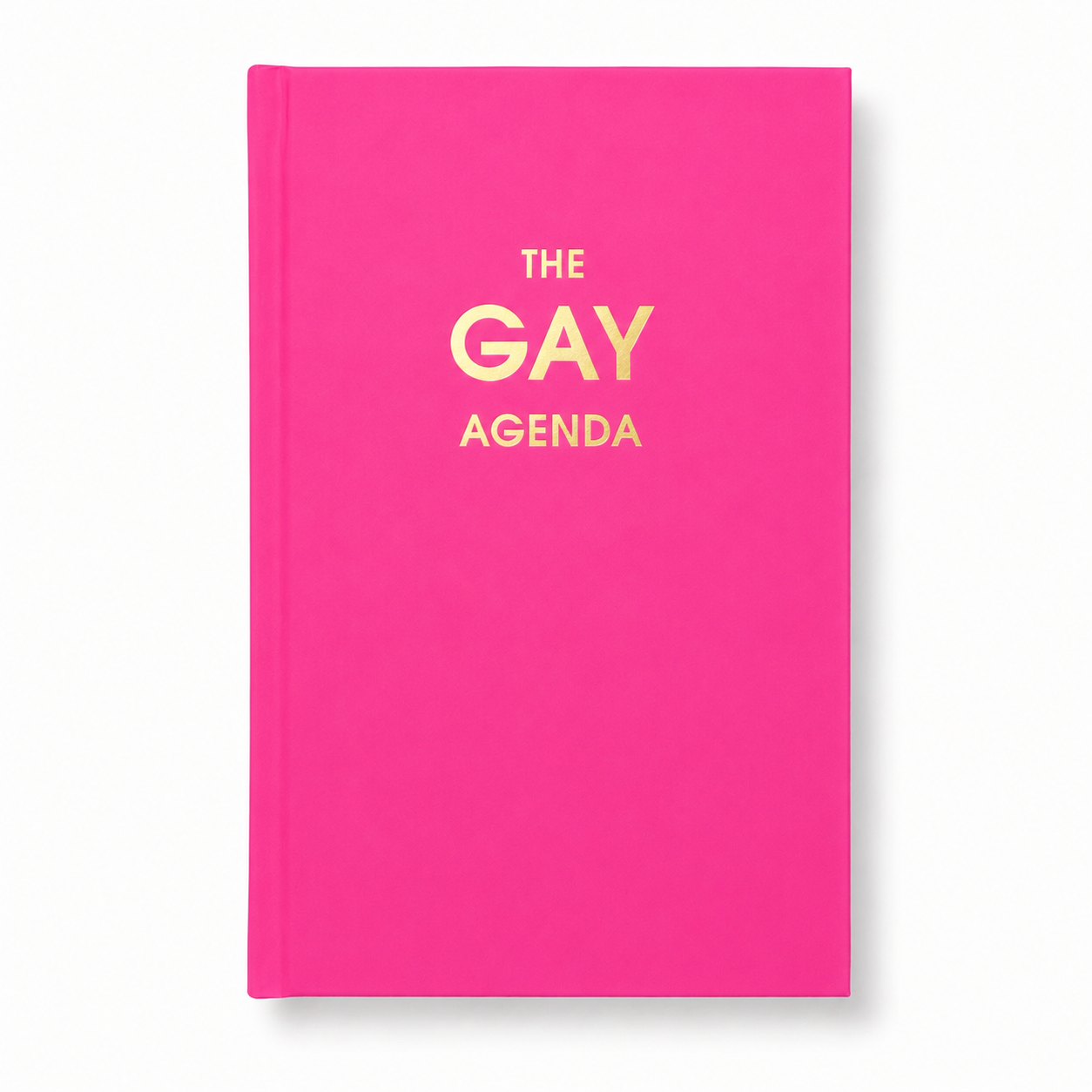 The Gay Agenda - Neon Rose Hardcover Journal