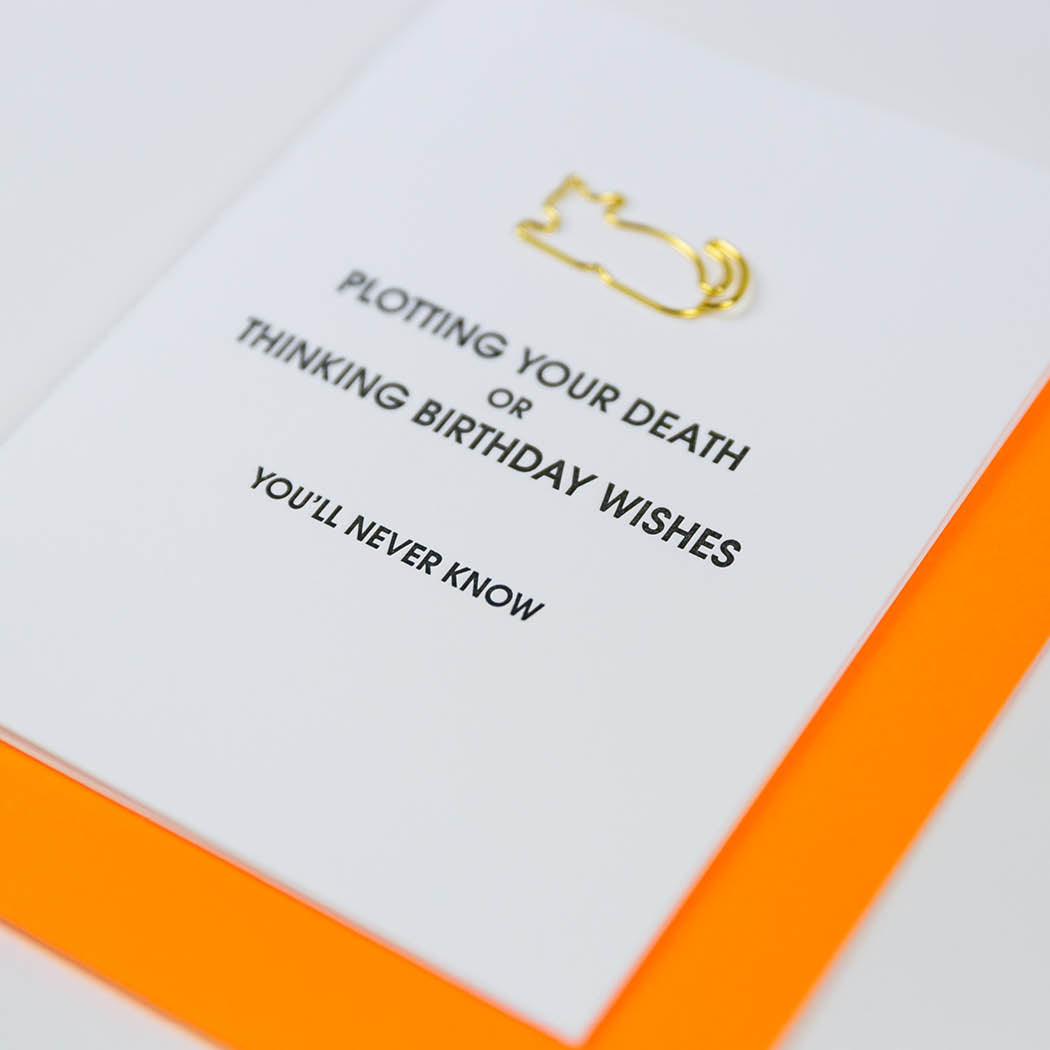 Plotting Your Death or Thinking Birthday Wishes. You'll Never Know - Cat Paper Clip Letterpress Card