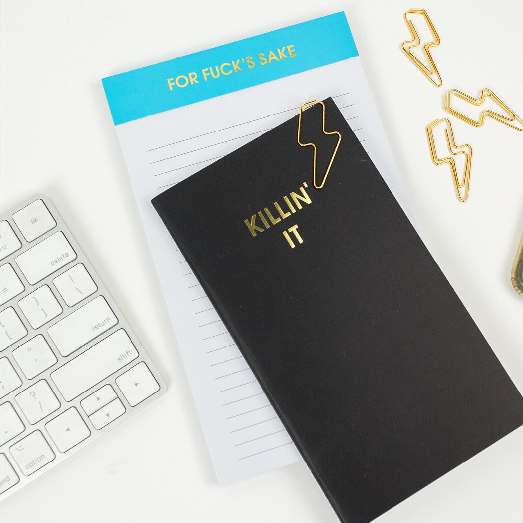 For Fuck's Sake - Lined Notepad