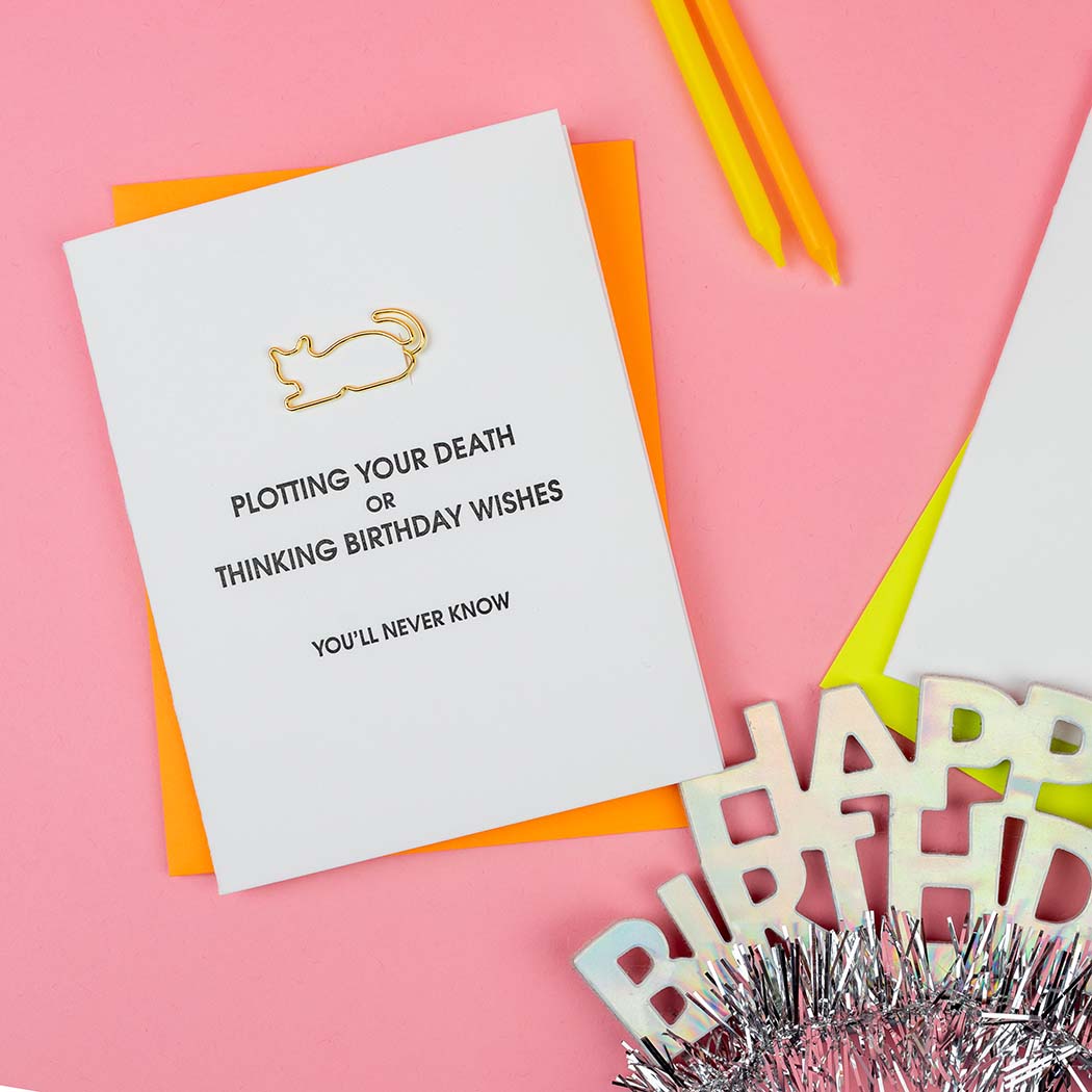 Plotting Your Death or Thinking Birthday Wishes. You'll Never Know - Cat Paper Clip Letterpress Card