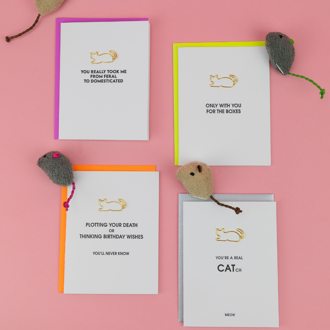 You Took Me From Feral To Domesticated - Cat Paperclip Card